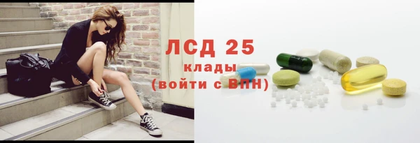 ГАЛЛЮЦИНОГЕННЫЕ ГРИБЫ Верея