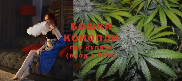 ГАЛЛЮЦИНОГЕННЫЕ ГРИБЫ Верея