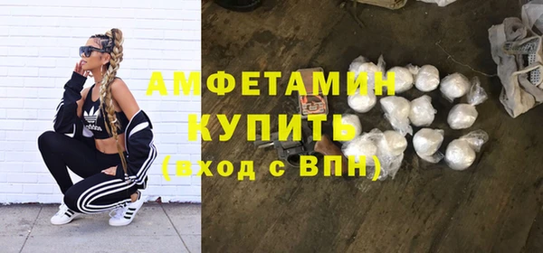 ГАЛЛЮЦИНОГЕННЫЕ ГРИБЫ Верея