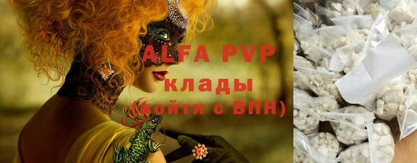 ГАЛЛЮЦИНОГЕННЫЕ ГРИБЫ Верея